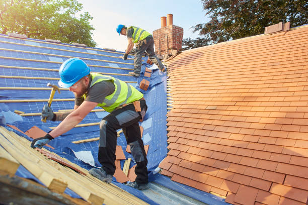 Best Metal Roofing Installation  in Ethete, WY